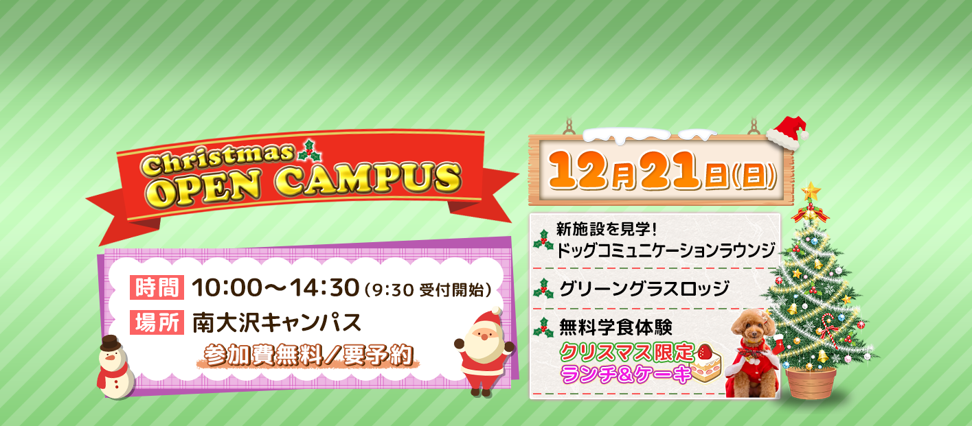 クリスマスオープンキャンパス