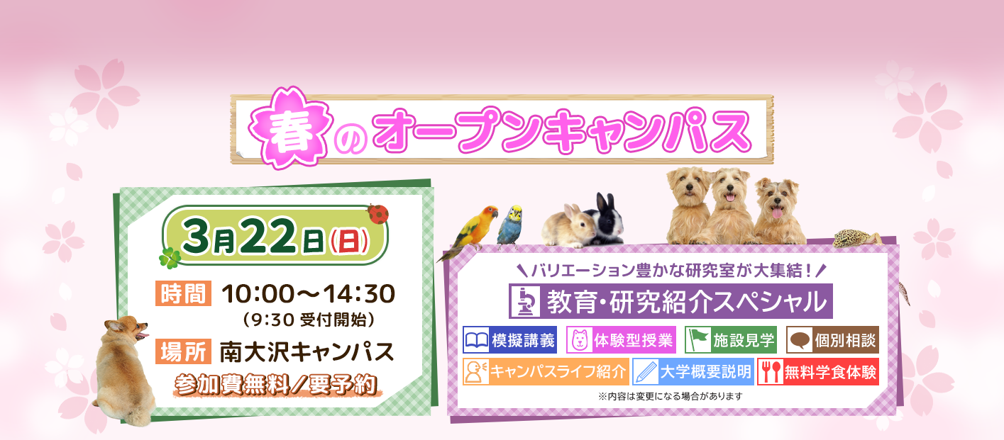 オープンキャンパス告知