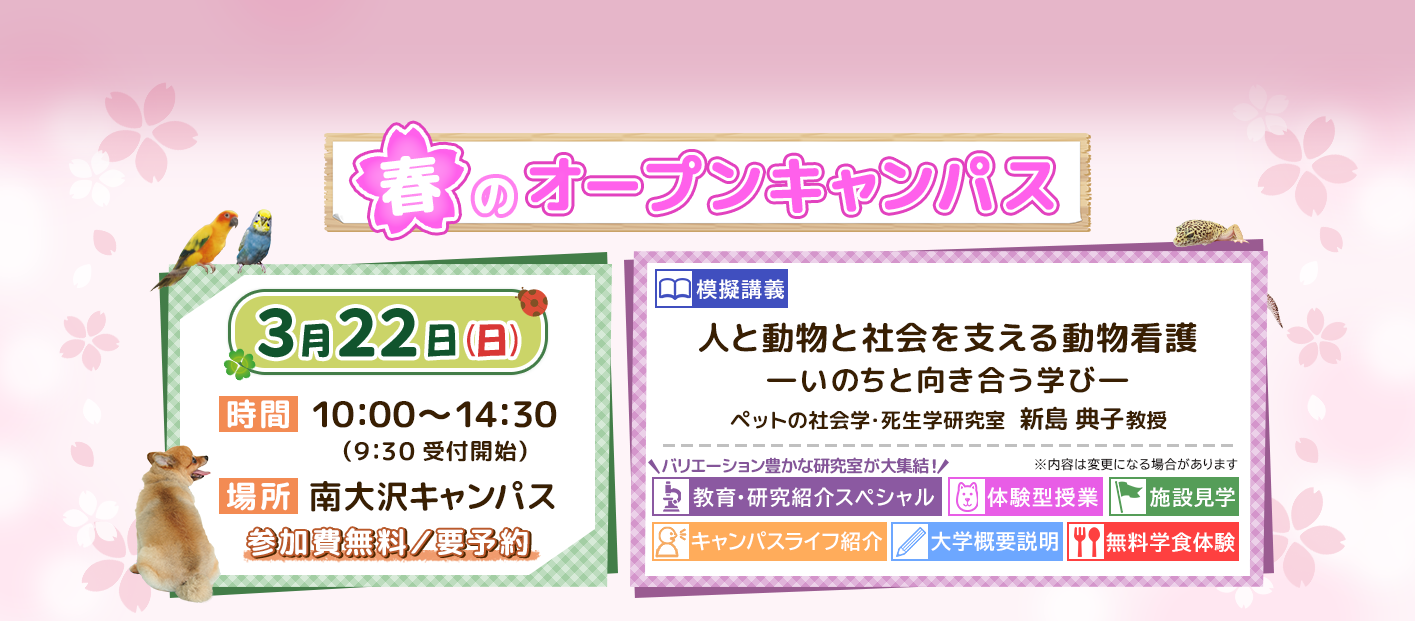 オープンキャンパス告知