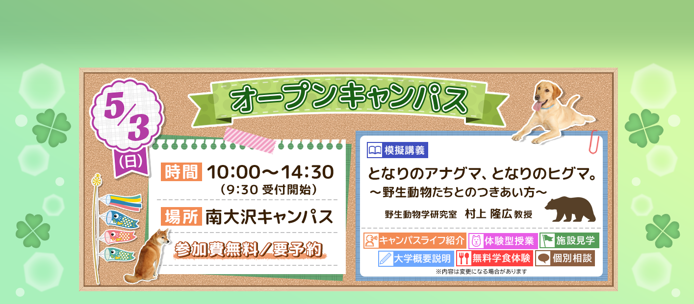 オープンキャンパス告知