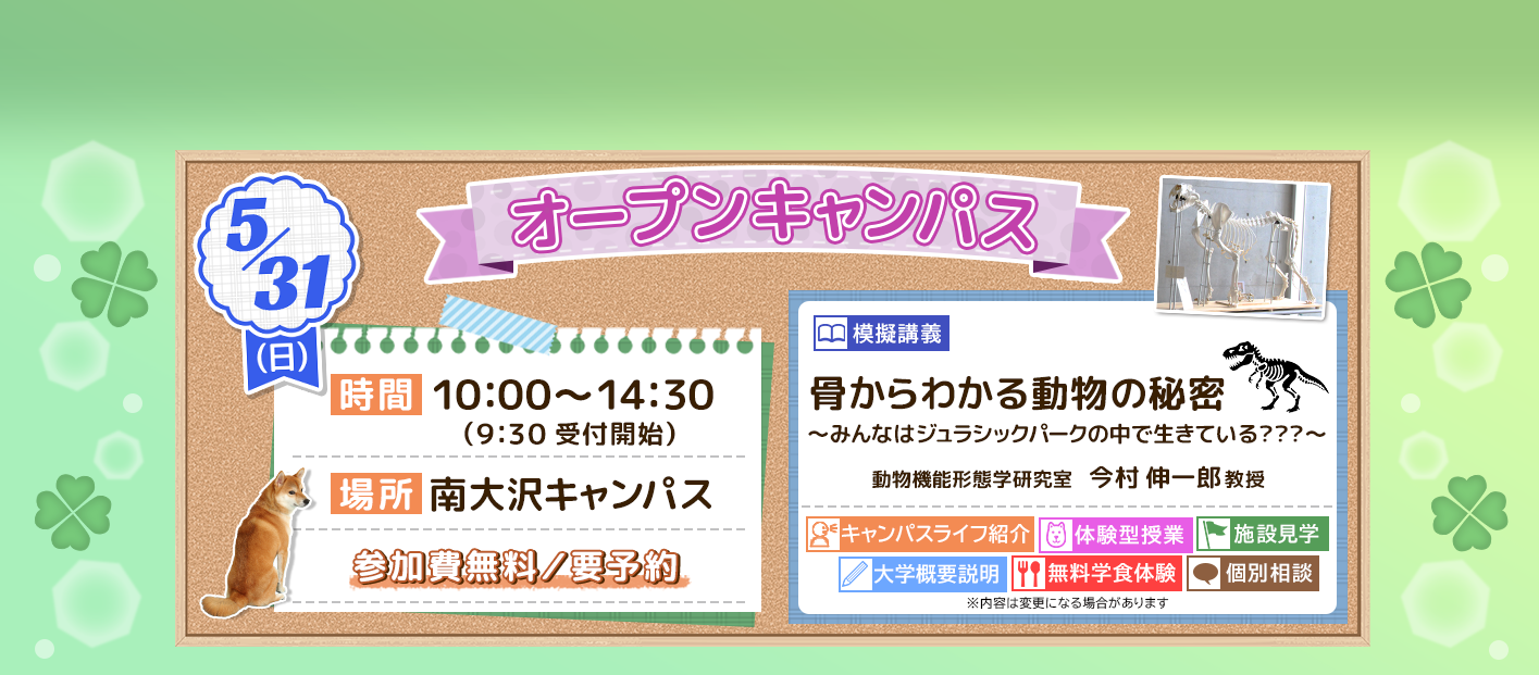 オープンキャンパス告知