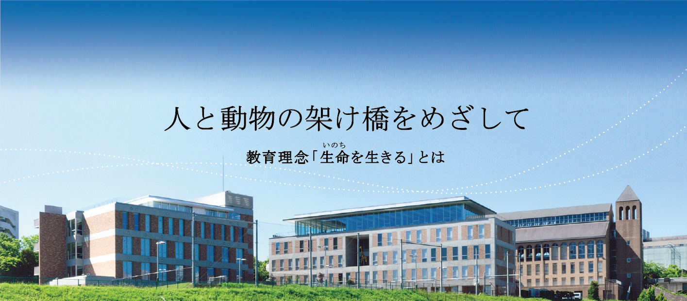建学の精神・教育理念