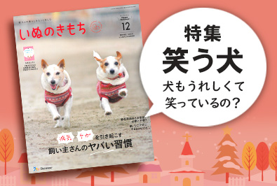 『いぬのきもち12月号』に福山貴昭 准教授の監修記事が掲載（2024/12/9 配信）