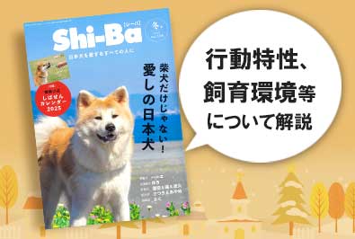 辰巳出版『SHI-BA 2025年 冬号』に堀井隆行講師の監修した記事が掲載（2024/12/9 配信）