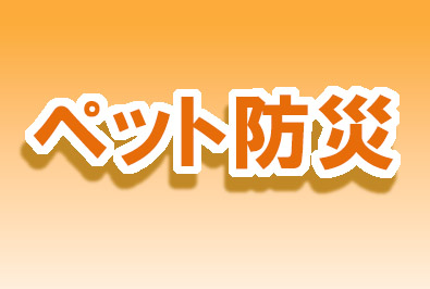 11/8(土)本学 福山貴昭准教授がペット防災について講演（2025/11/02 配信）