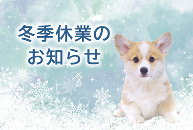 冬季休業のお知らせ（2025/12/24 配信）