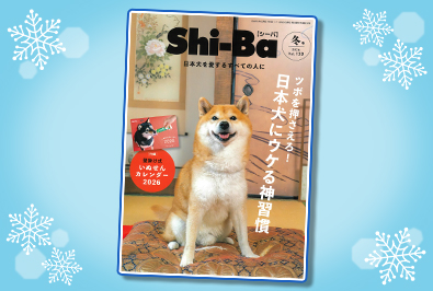 辰巳出版『Shi-Ba 2026年 冬号』に堀井隆行講師の監修した記事が掲載（2025/12/4 配信）