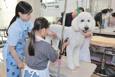 八王子市在住の小学生対象「第17回 子ども体験塾」を開催（2026/8/6 配信）